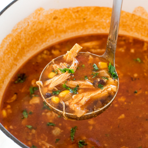 https://chefsavvy.com/wp-content/uploads/20-minute-mexican-chicken-soup-500x500.jpg
