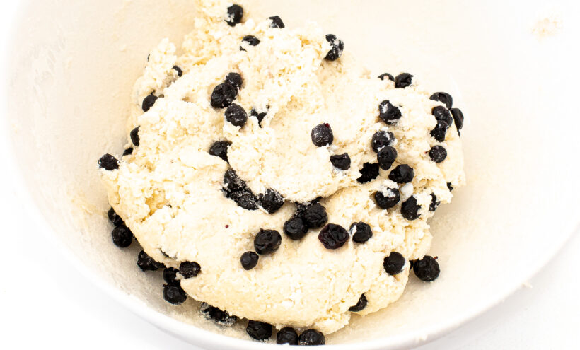Blueberry Bagel dough with blueberries sprinkled on top in a white mixing bowl.