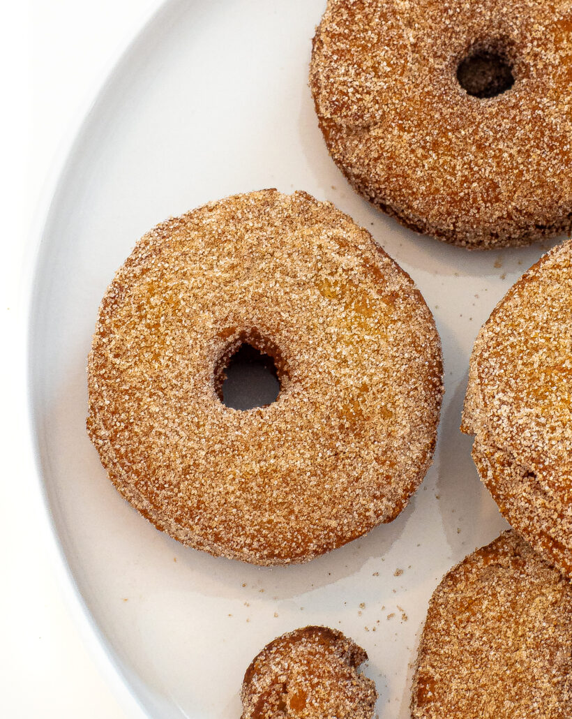 apple cider doughnut on white plate