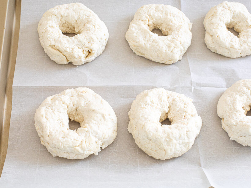 Dough in the form of bagels on a sheet pan. 
