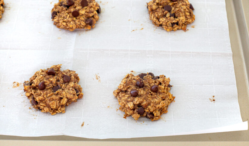 Oat cookies on a baking sheet lined with parchment paper after being baked. 