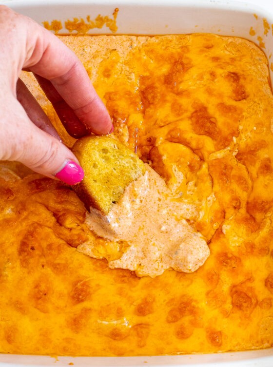 Buffalo Chicken Dip