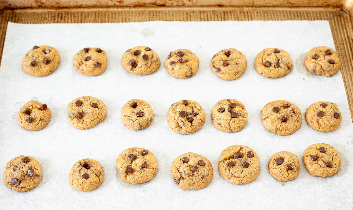 baked mini chocolate chip cookies