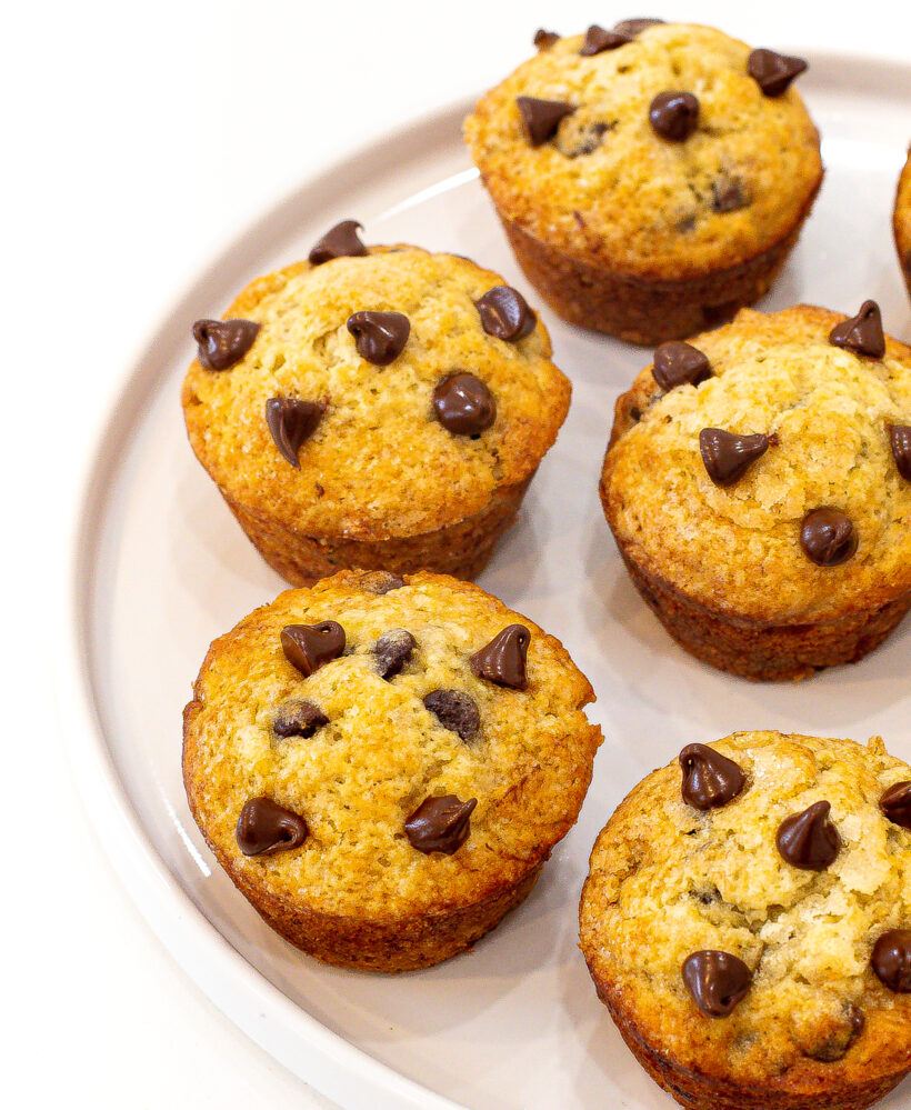 Muffins with chocolate chips on top served on a white plate.