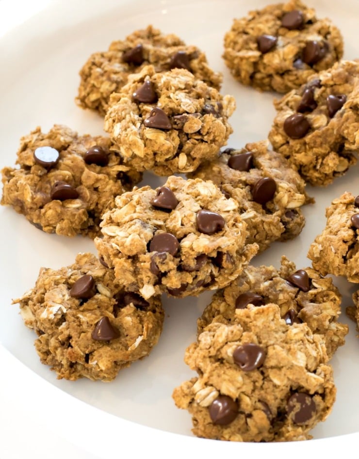 several breakfast cookies with chocolate chips on a white plate | chefsavvy.com