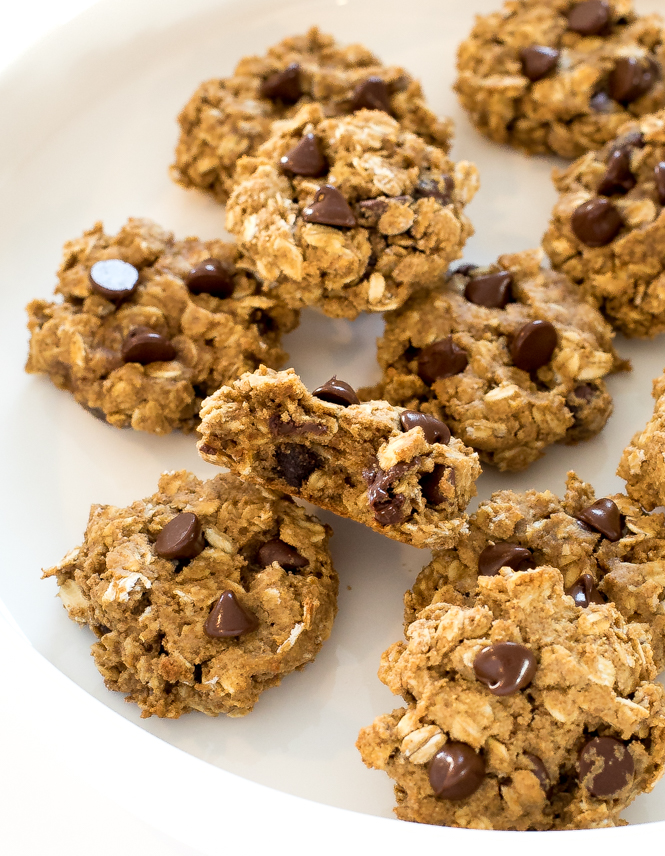 closeup of several breakfast cookies with chocolate chips on a white plate | chefsavvy.com