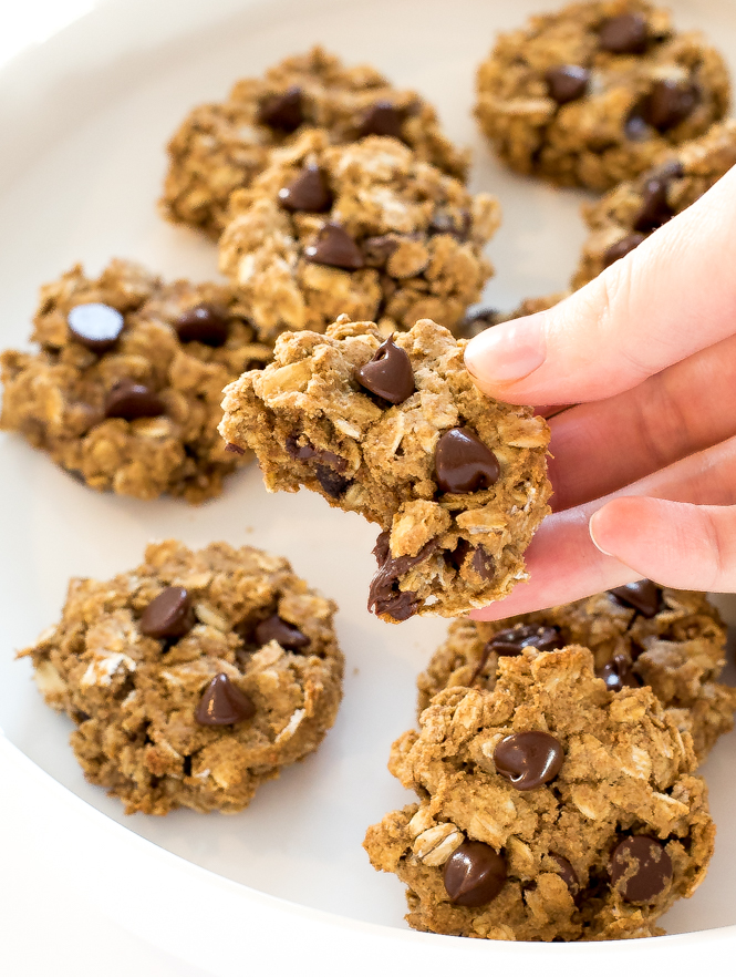 closeup of several breakfast cookies with chocolate chips on a white plate with the author holding one up with a bite taken out of it | chefsavvy.com