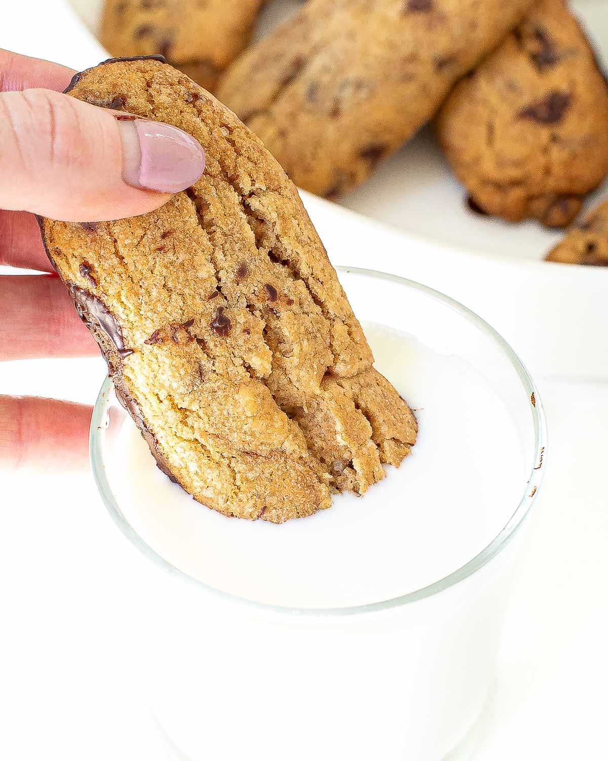 dipping homemade chocolate dunkers into milk