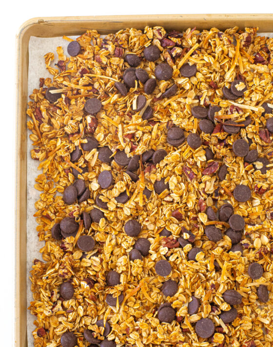 Coconut Pecan Chocolate Chip Granola