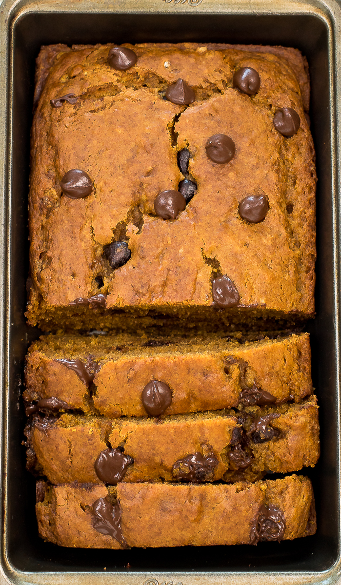 The Best Pumpkin Chocolate Chip Bread | chefsavvy.com Close up shot of chocolate chip pumpkin bread inside a metal loaf pan