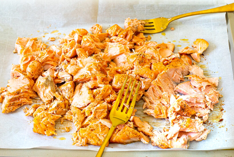 Salmon flaked into chunks with two forks on a baking sheet. 