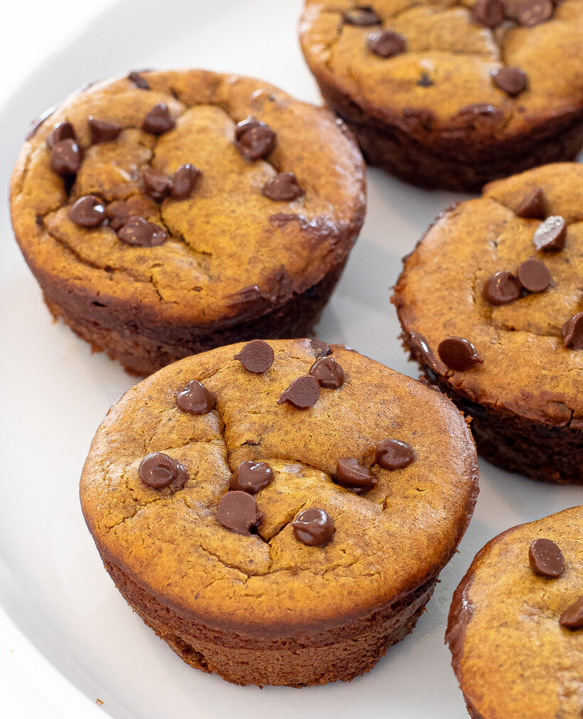 Pumpkin muffins with chocolate chips on top on a white plate.