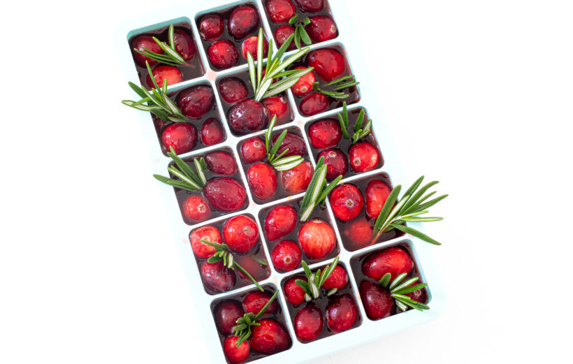 cranberry pomegranate punch mixture in ice cube tray