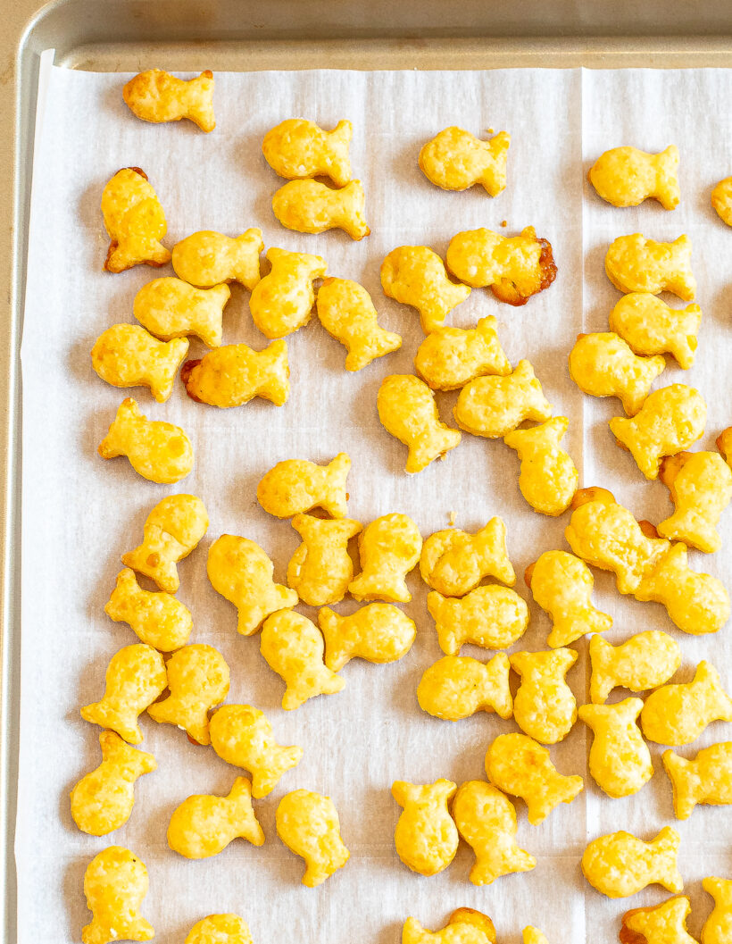 Overhead shot of homemade goldfish crackers on a baking sheet lined with parchment paper. 