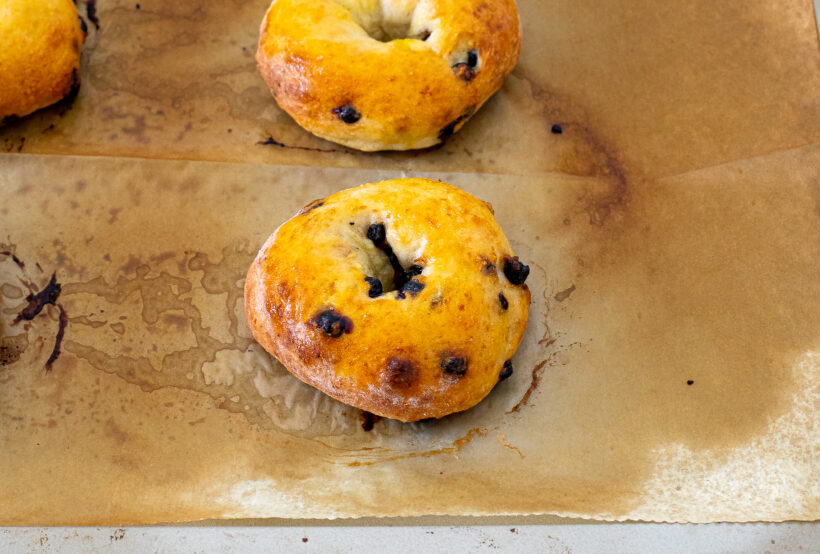 Baked blueberry bagels on a baking sheet.