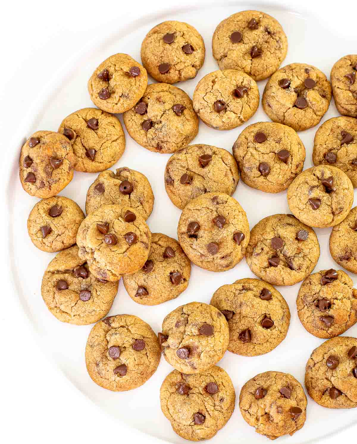 mini chocolate chip cookies on white plate
