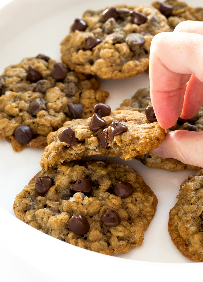 a white plate filled with these homemade oatmeal chocolate chip cookies