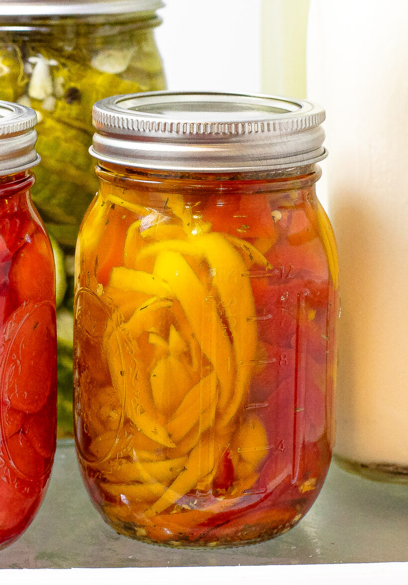 Pickled bell peppers in a mason jar.