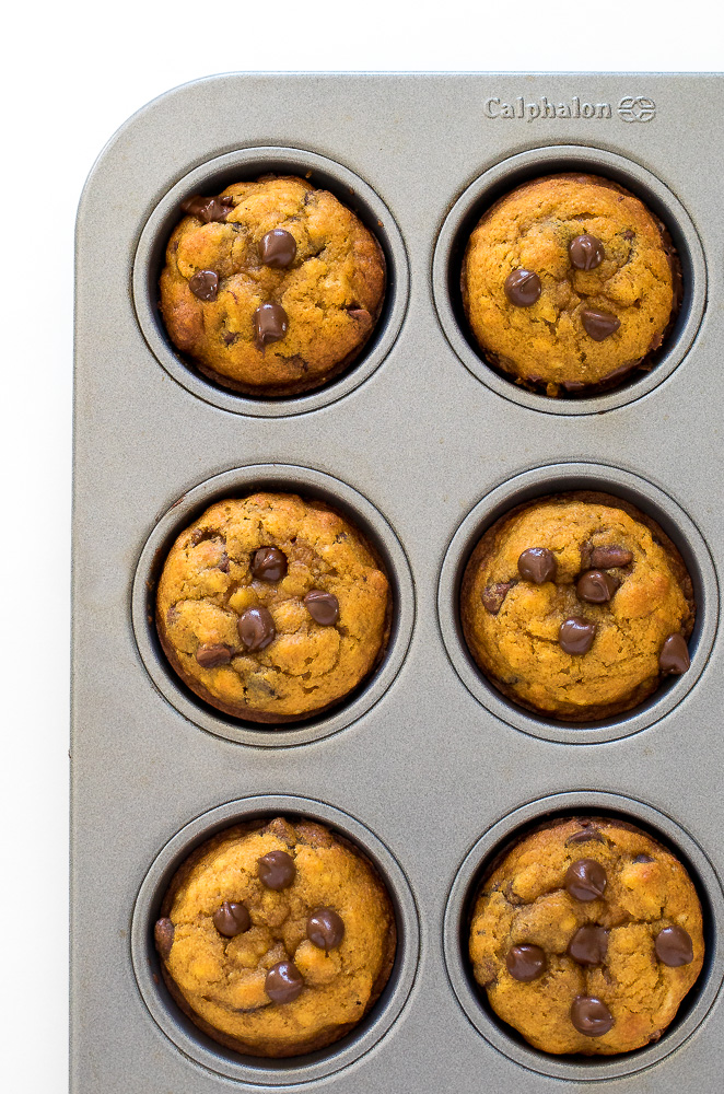 Easy Pumpkin Chocolate Chip Muffins | chefsavvy.com pumpkin chocolate chip muffins in muffin tin