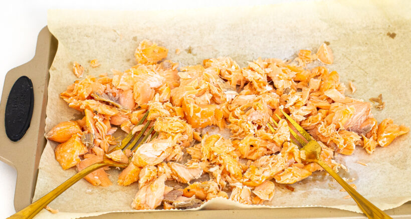 Two forks flaking baked salmon on a baking sheet lined with parchment paper.