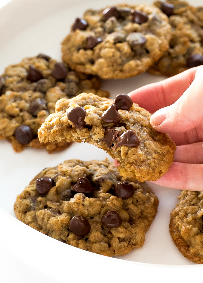 a white plate filled with these homemade oatmeal chocolate chip cookies with the author holding up one cookie that has a bite taken out of it