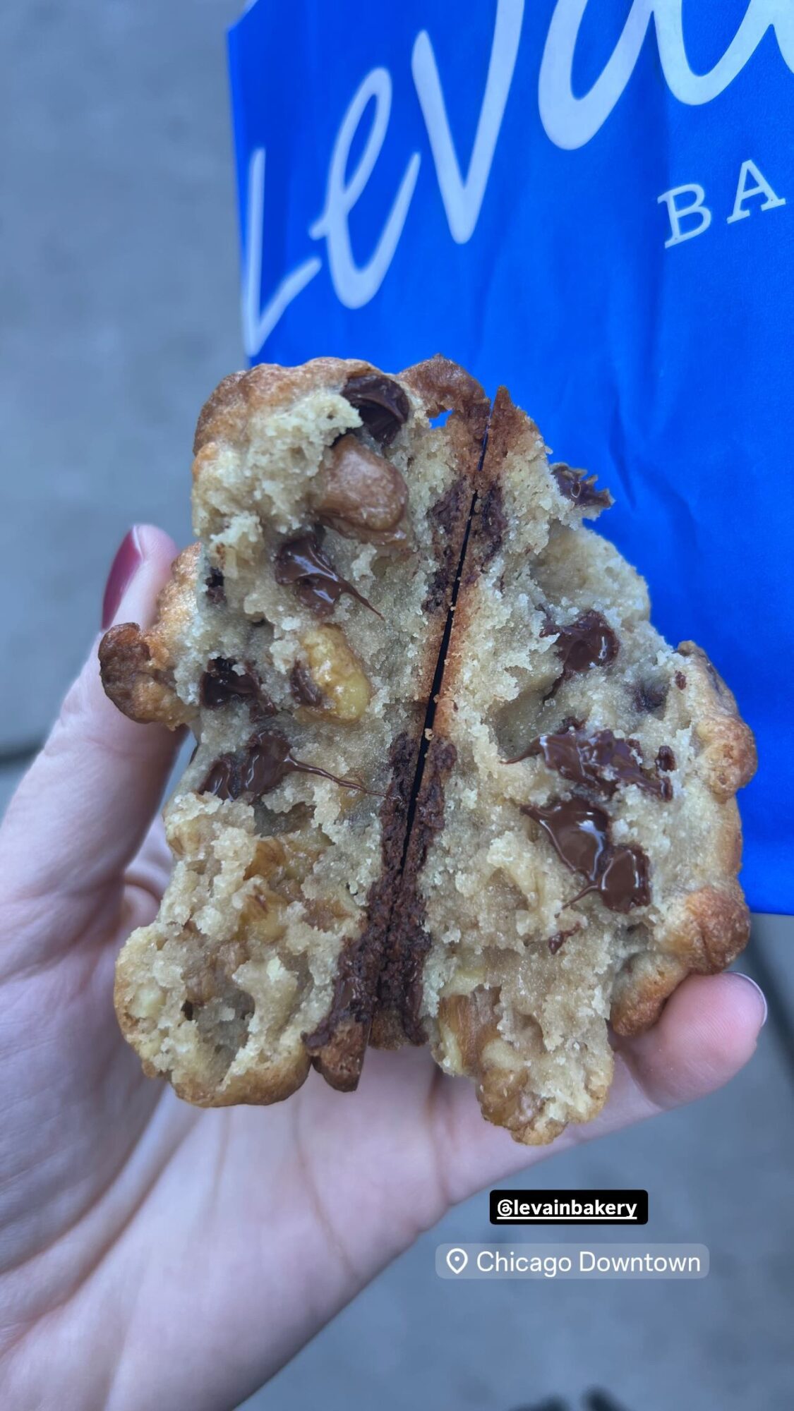 author Kelley Simmons holding levain chocolate chip cookie