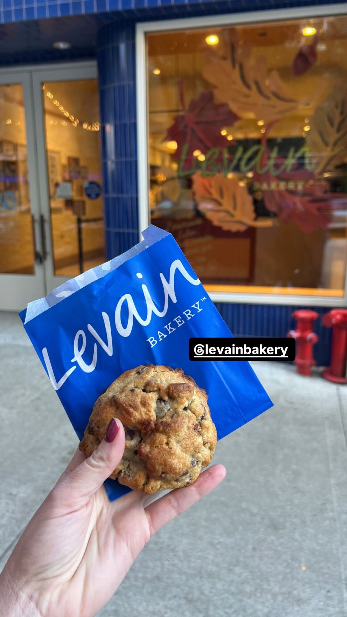 author standing in front of levain cookie place with a chocolate chip cookie