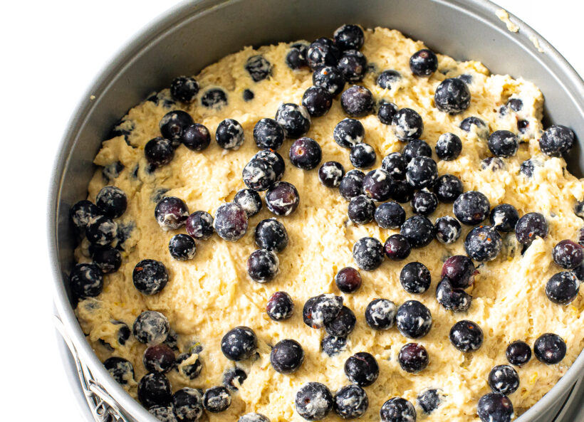 Unbaked blueberry cake in springform pan.