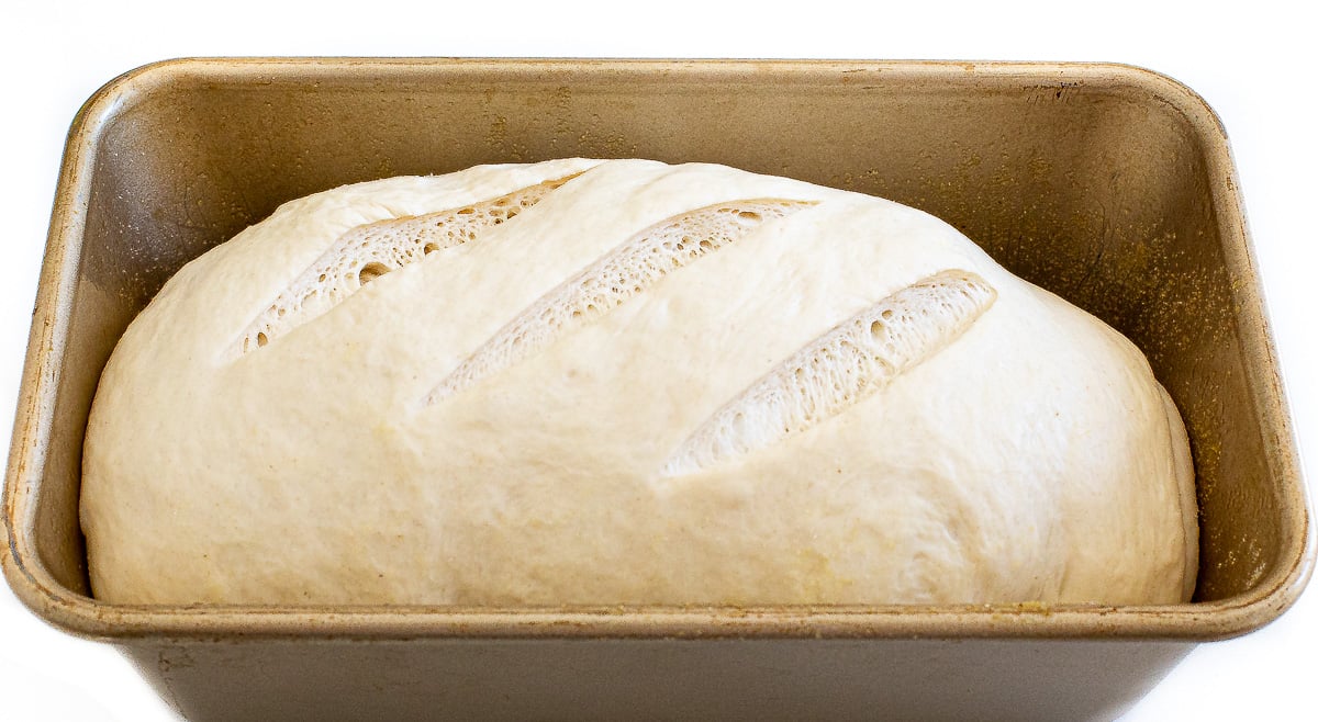 Unbaked loaf of scored bread dough in a metal loaf pan.